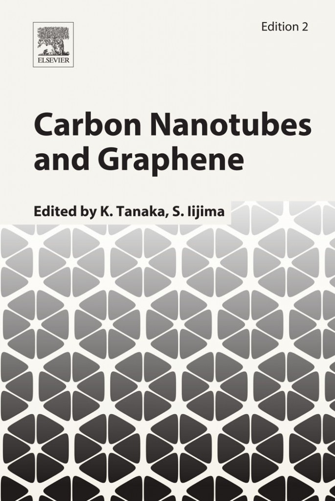 carbon nanotubes and graphene book cover